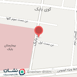 عکس پیتزا ناریش