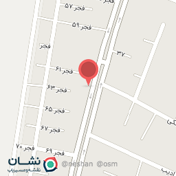 عکس پیتزا پانیک