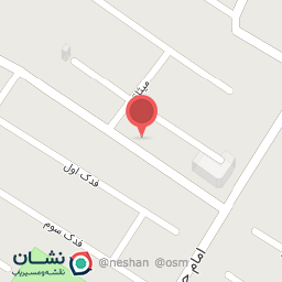 عکس کیف و کفش شیکپا