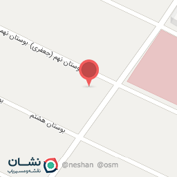 عکس کیکبوکس بانوان پاسداران