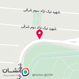عکس برنج و حبوبات