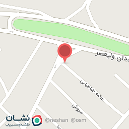 عکس تاپ سرویس ولیعصر