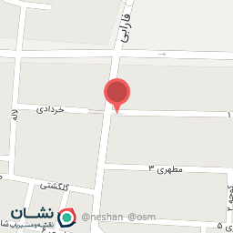 عکس پیتزا امیر