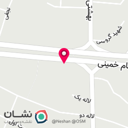 عکس فست فود شادو