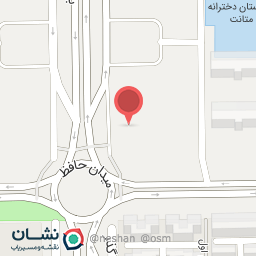 عکس شیرینی گل افشان