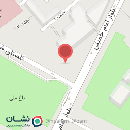 عکس کفش میلاد