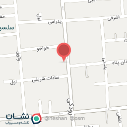 عکس فروشگاه آجیل و خشکبار ربیعی