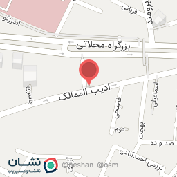 عکس پیتزا ادیب