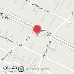 عکس دزدگیر سینا