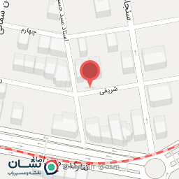 عکس آرایشگاه حیوانات خانگی نور چشمی