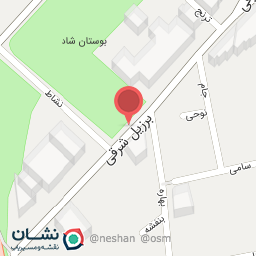 عکس کیک خونه