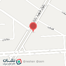 عکس فلافلمون