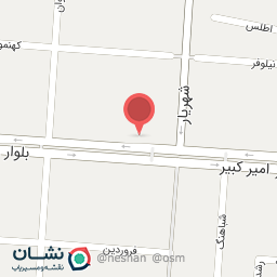 عکس نقره زینال پور