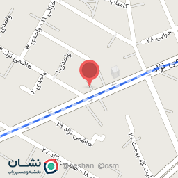 عکس کفش چلسی