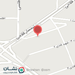 عکس کیف و کفش ثامن