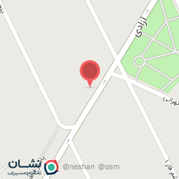 عکس نقره ۱۱۰