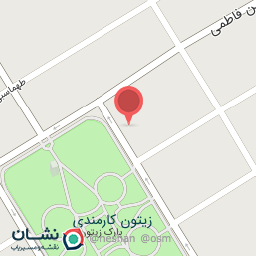 عکس بیمه ایران 