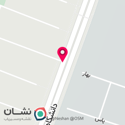 عکس گل فروشی لی لی رز 