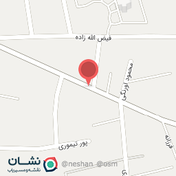 عکس قصابی ماهان