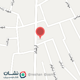 عکس پرنده فروشی 