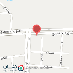 عکس پیتزا زاگرس