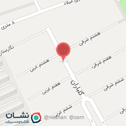 عکس پیتزا  میلاد