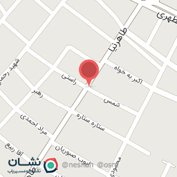 عکس مرغ پدرام