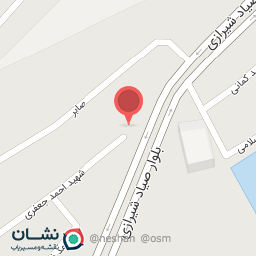 عکس صافکار و نقاشی اتومبیل برادران شعبانی