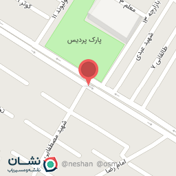 عکس چلوکبابی ستاره شهر