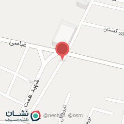 عکس آجیلی نزاکت