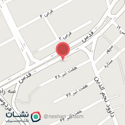 عکس فست فود میشا