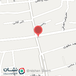 عکس فست فود تک 