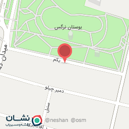 عکس چلوکبابی زاگرس