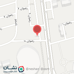 عکس فرش دیبا