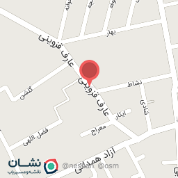 عکس فروشگاه همدان دزدگیر