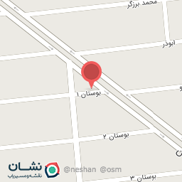 عکس همراه هنرور