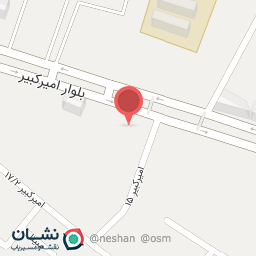 عکس فروشگاه تیرازیس