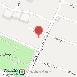 عکس عکاسی پورک