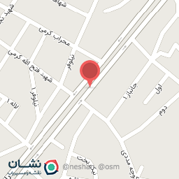 عکس الکتریکی موسوی