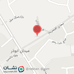 عکس پروتئینی علی بخشی