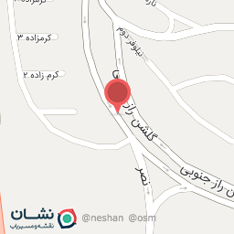 عکس دکتر ایرانی اصل 