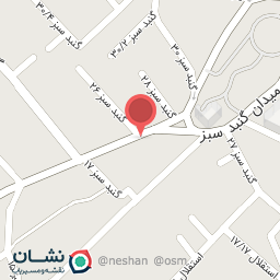 عکس ارایشی بانو چلسی